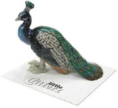 ➸ Little Critterz Bird Miniature Figurine Peacock Shimmer